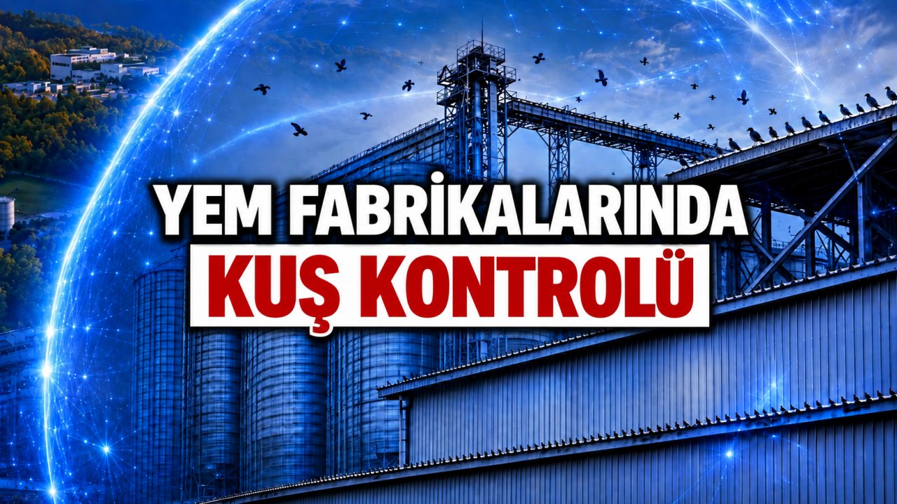 Yem Fabrikalarında Kuş Kontrolü Neden Bu Kadar Kritik?