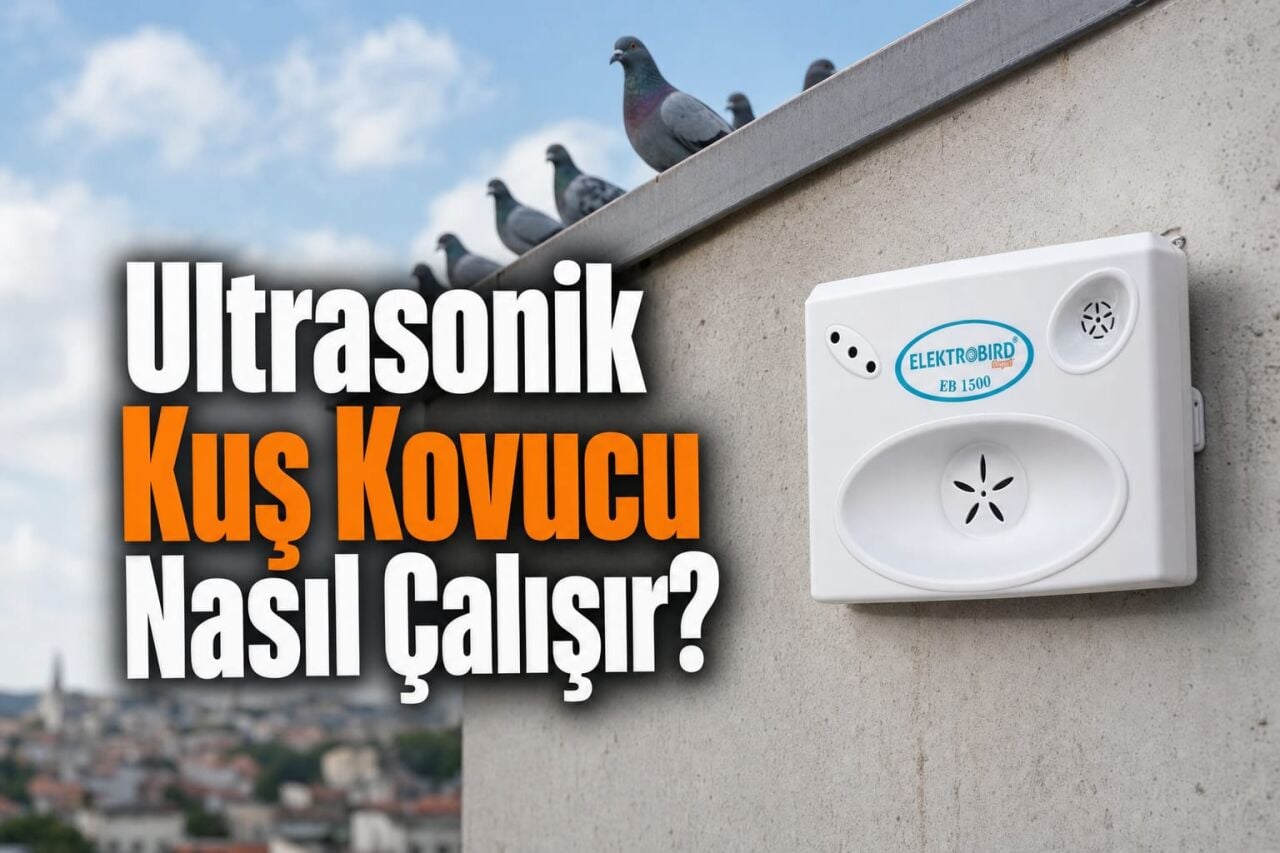Ultrasonik Kuş Kovucu Nasıl Çalışır?