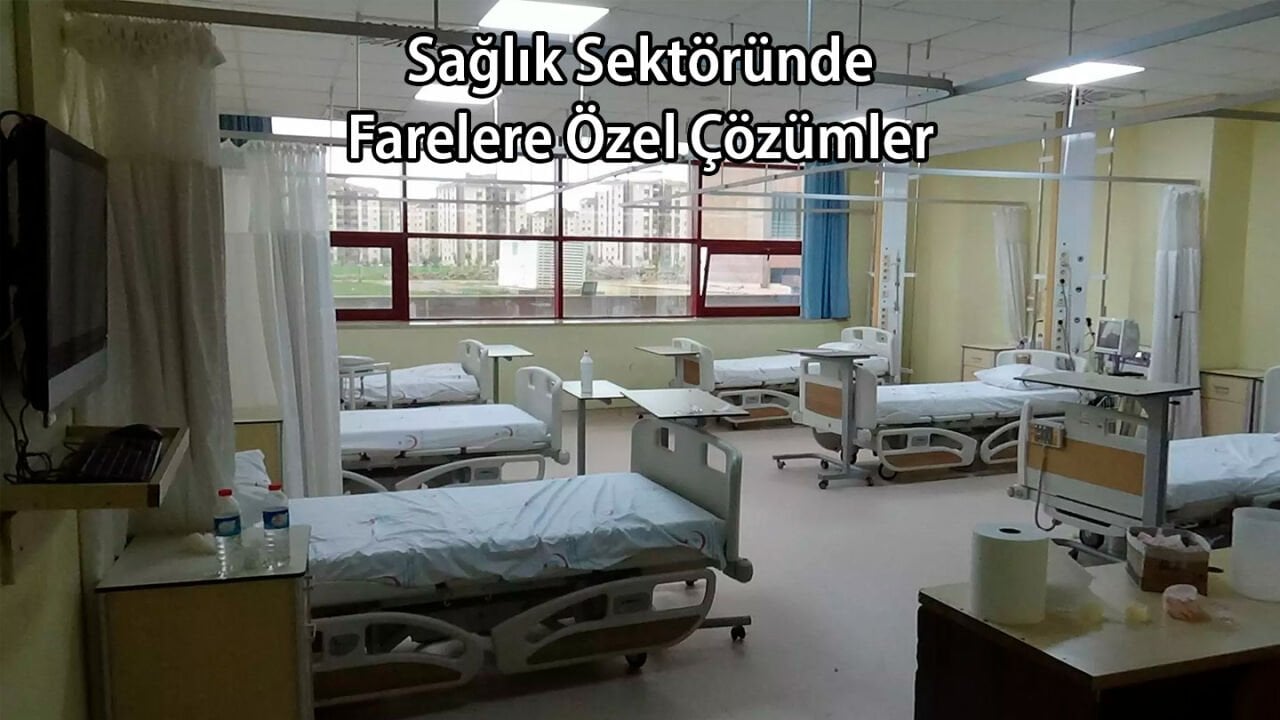 Sağlık Sektöründe Fareye Özel Çözümler