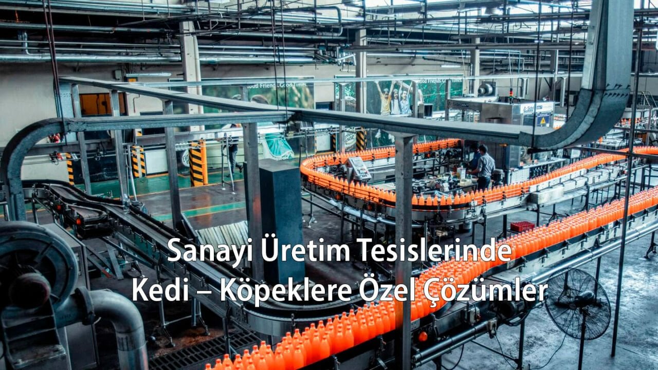 Sanayi Üretim Tesislerinde Kedi – Köpeklere Özel Çözümler