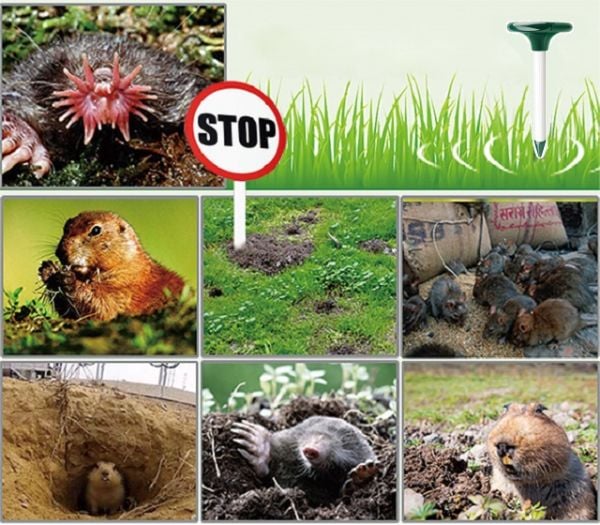 Repel MA 800 Güneş Enerjili Fare Köstebek Akrep Sincap Yılan Kovucu 800 M²