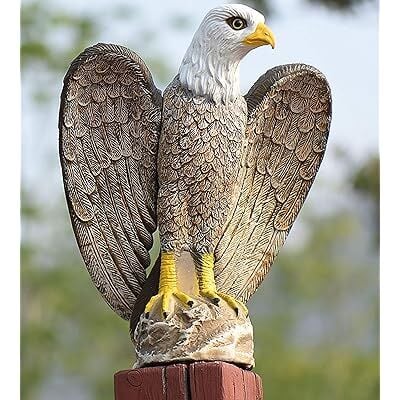 Kuş Kovucu - Korkutucu - Uzaklaştırıcı 3D Kartal Maketi