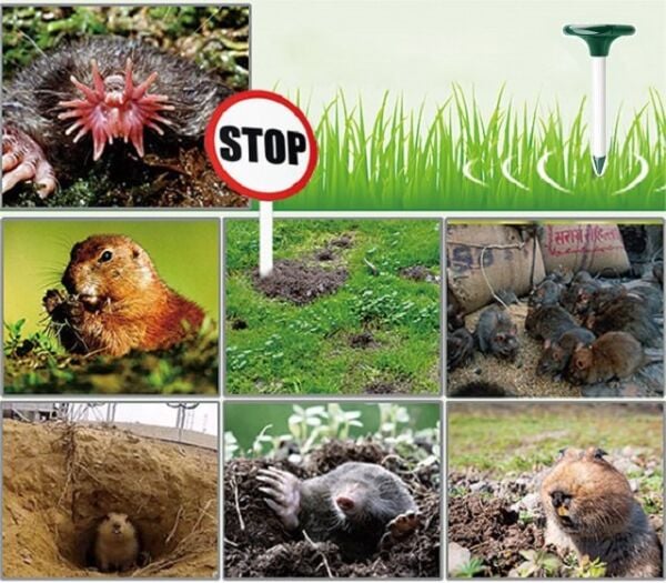 Repel MA 800 Güneş Enerjili Fare Köstebek Akrep Sincap Yılan Kovucu - 2li