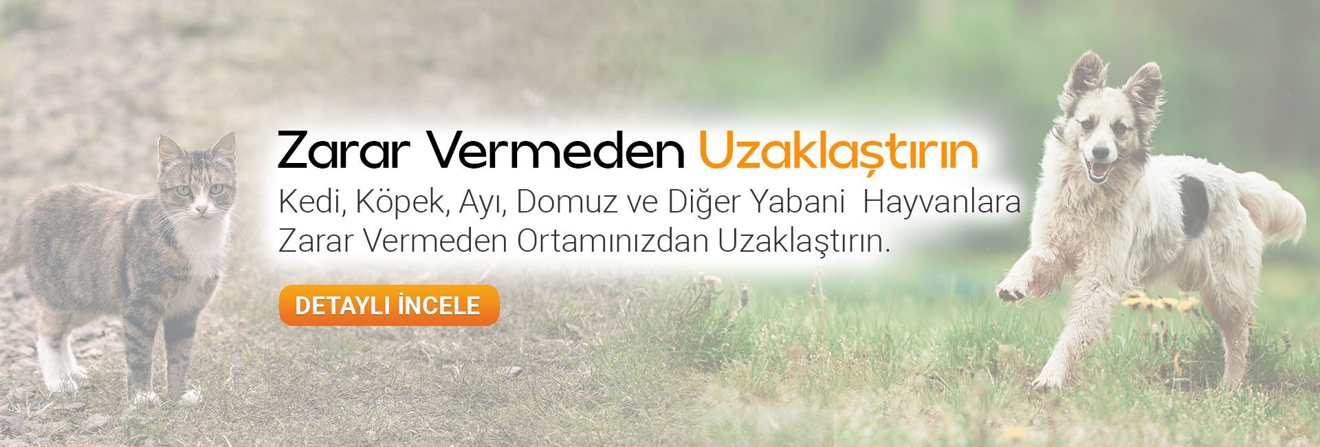 repel kedi köpek hayvan kovucular