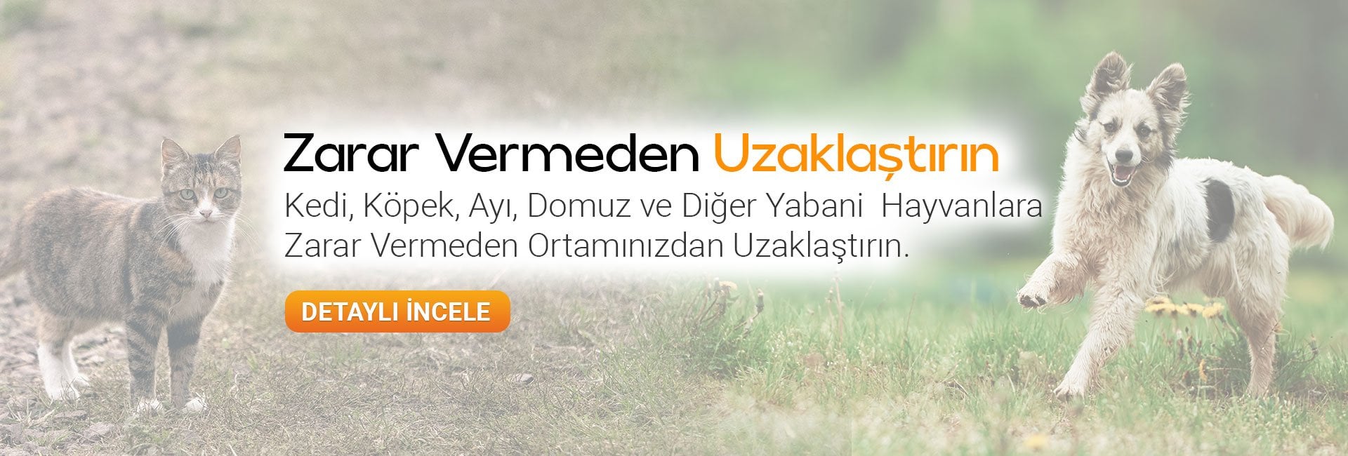 repel kedi köpek hayvan kovucular