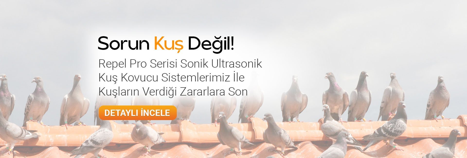 repel kuş kovucu sistemler