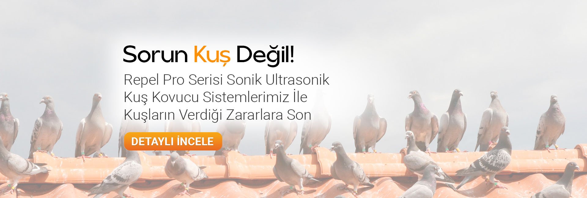 repel kuş kovucu sistemler