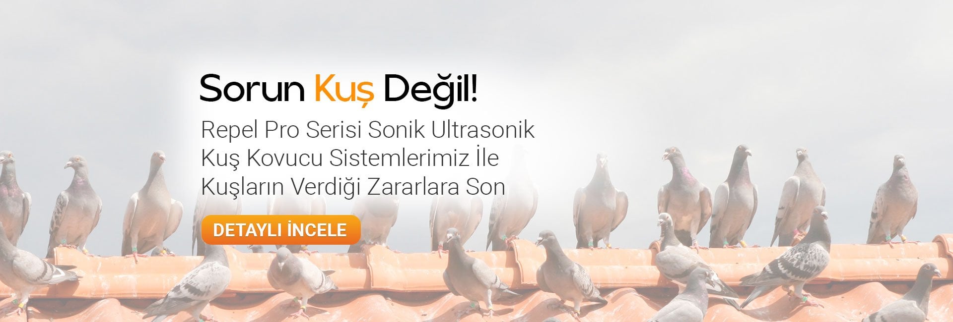 repel kuş kovucu sistemler