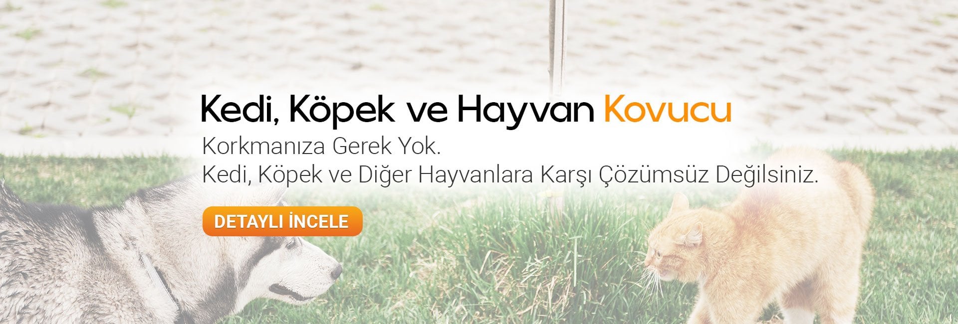 repel kedi köpek kovucular