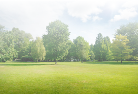 Açık Alan Çözümleri